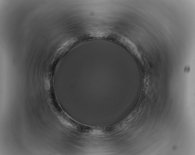 X0000097990114200804071202