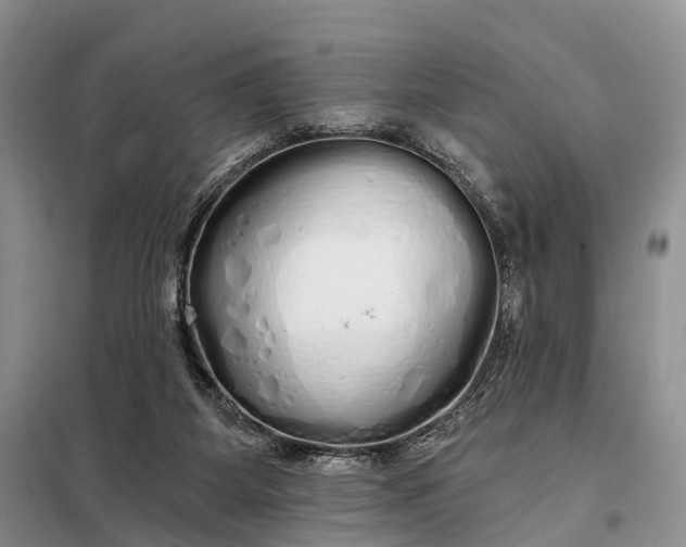 X0000097990115200804071202
