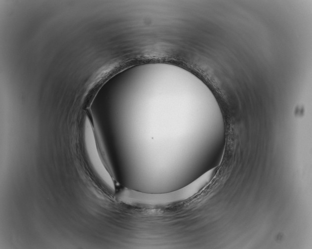 X0000097990116200804071202