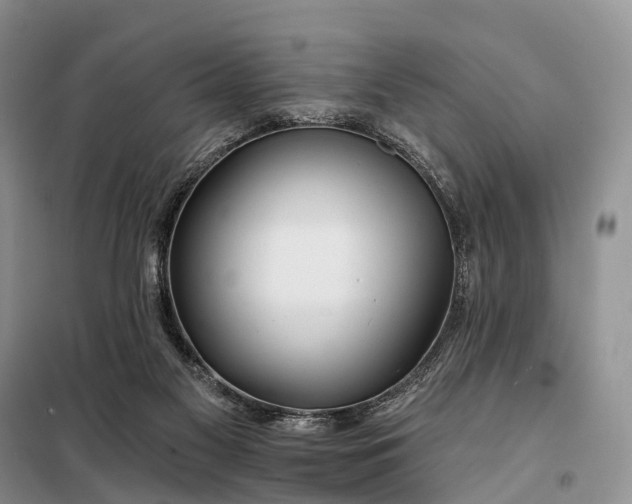 X0000097990117200804071202