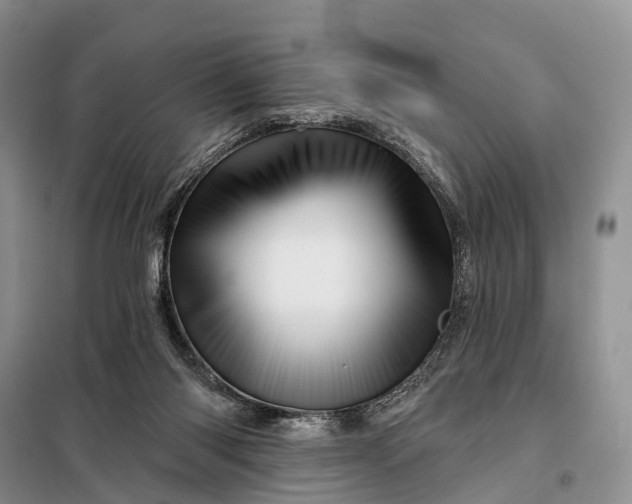 X0000097990118200804071202