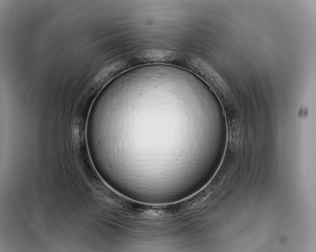 X0000097990119200804071202