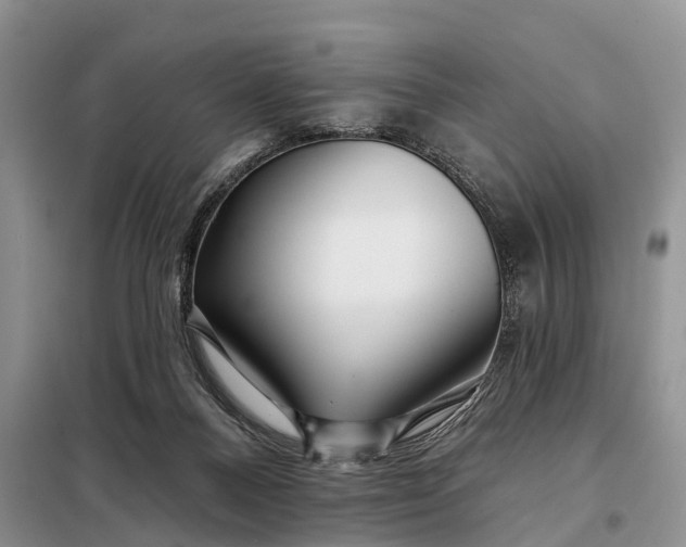 X0000097990120200804071202