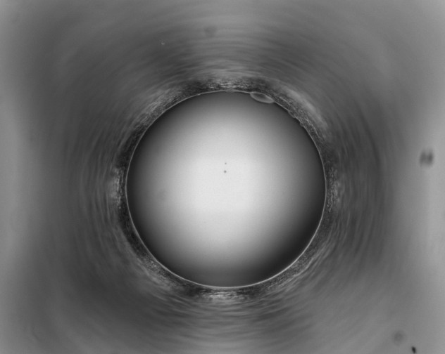 X0000097990121200804071202