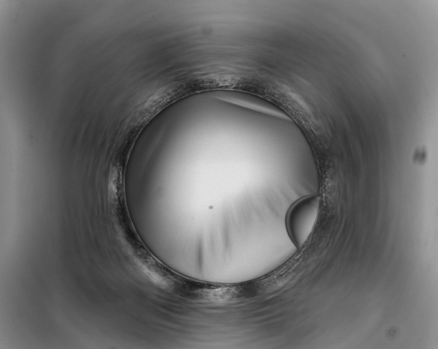 X0000097990122200804071202