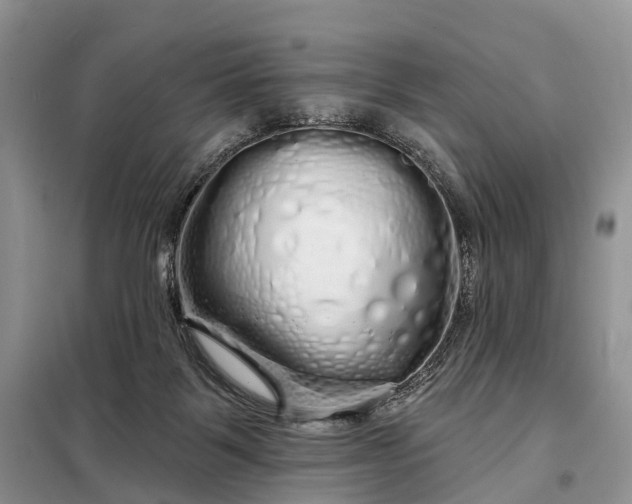 X0000097990123200804071202