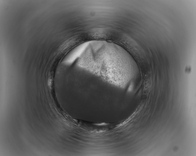 X0000097990124200804071202
