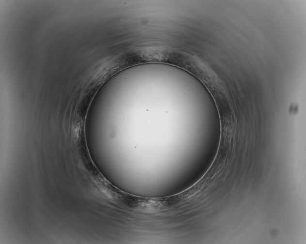 X0000097990125200804071202