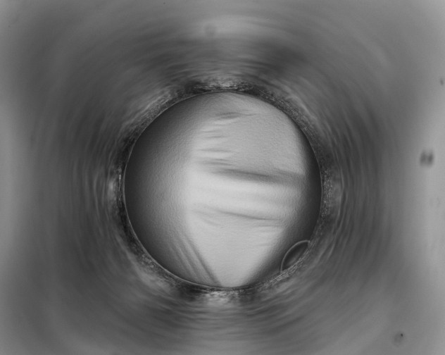 X0000097990126200804071202