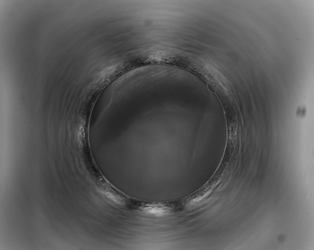 X0000097990127200804071202