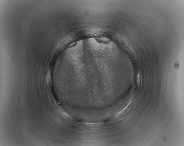 X0000097990128200804071202