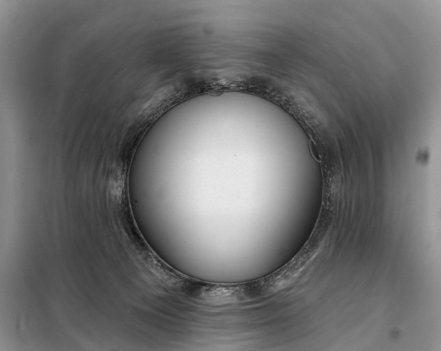 X0000097990129200804071202