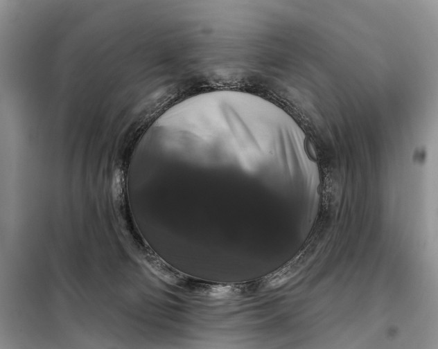 X0000097990130200804071202