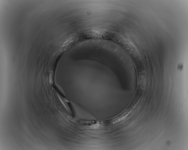 X0000097990131200804071202