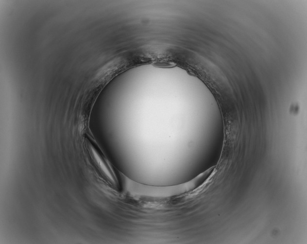 X0000097990132200804071202