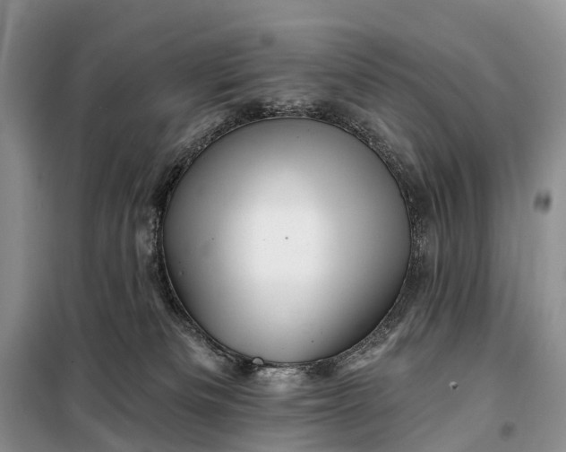 X0000097990133200804071202
