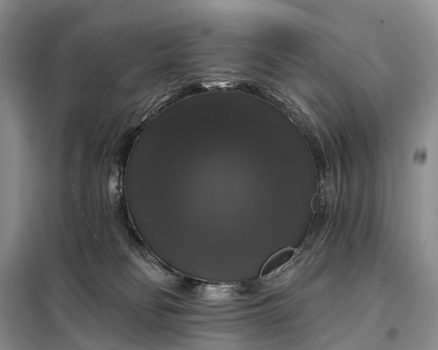 X0000097990134200804071202