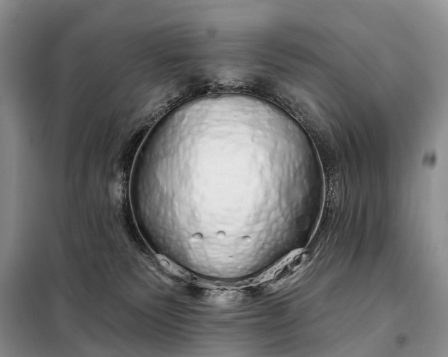 X0000097990135200804071202