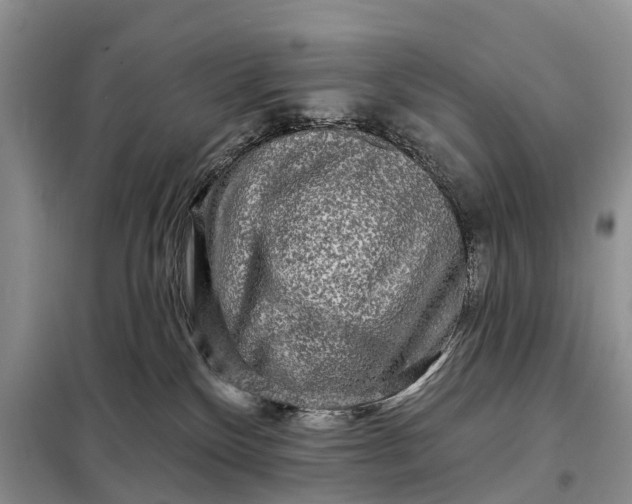 X0000097990136200804071202
