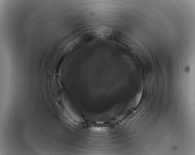 X0000097990137200804071202