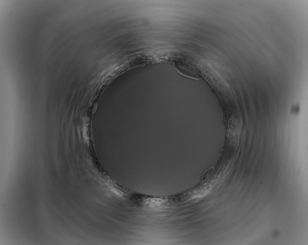 X0000097990139200804071202