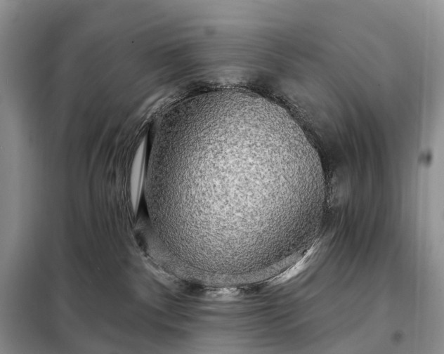 X0000097990140200804071202
