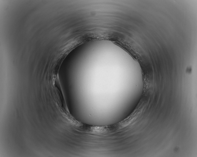 X0000097990141200804071202
