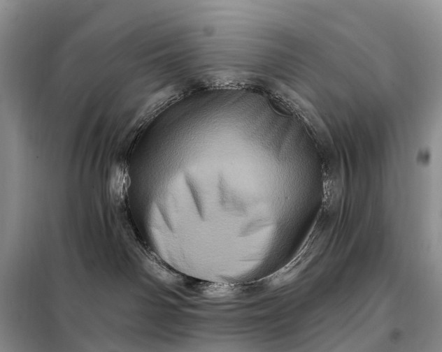 X0000097990142200804071202