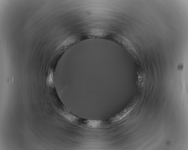 X0000097990143200804071202