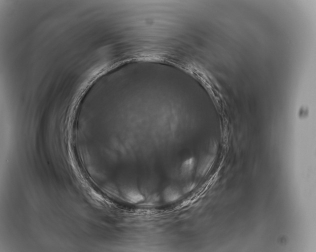 X0000097990145200804071201