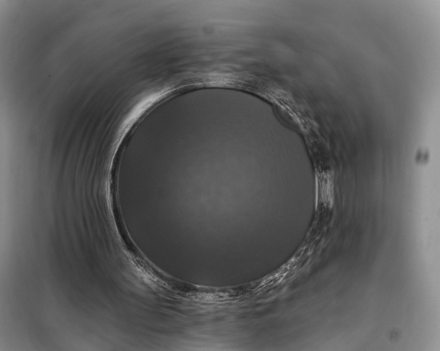 X0000097990147200804071201