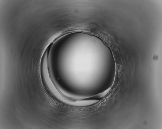 X0000097990148200804071201