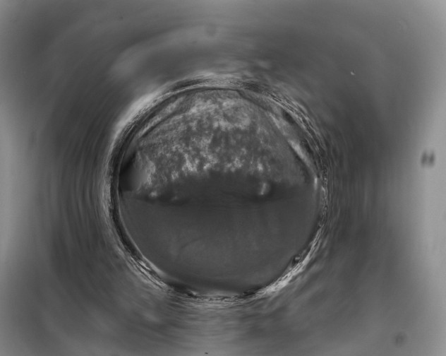X0000097990149200804071201