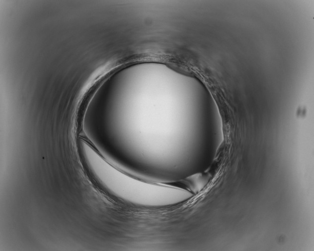 X0000097990150200804071201