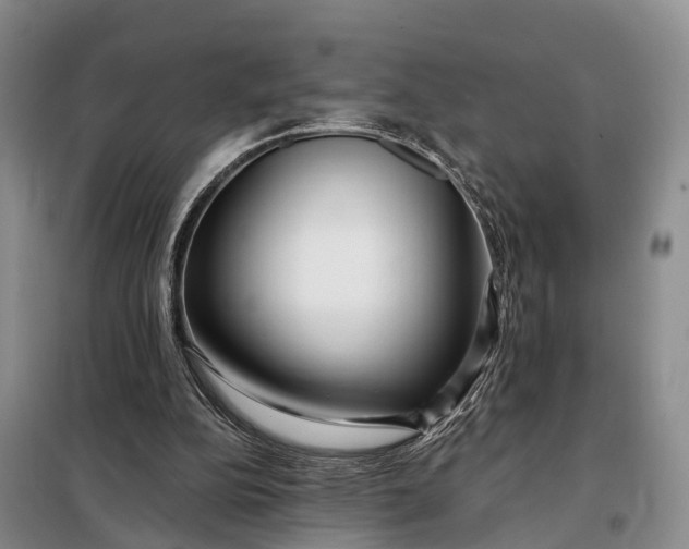 X0000097990152200804071201