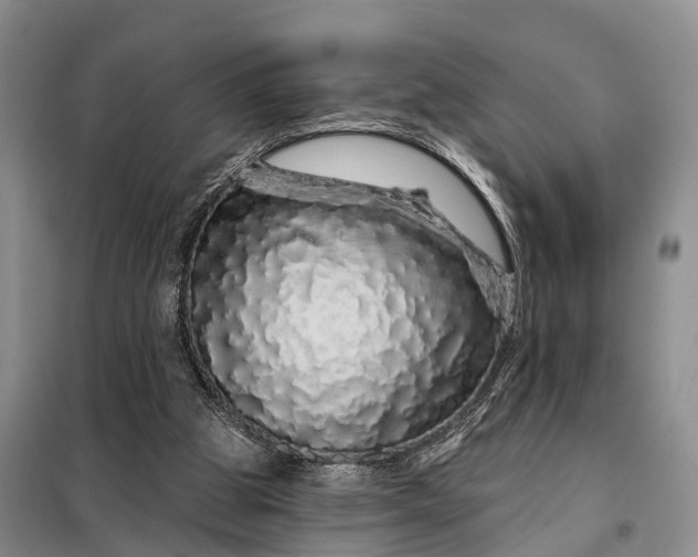 X0000097990153200804071201