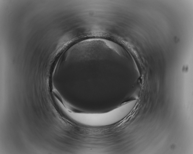 X0000097990154200804071201