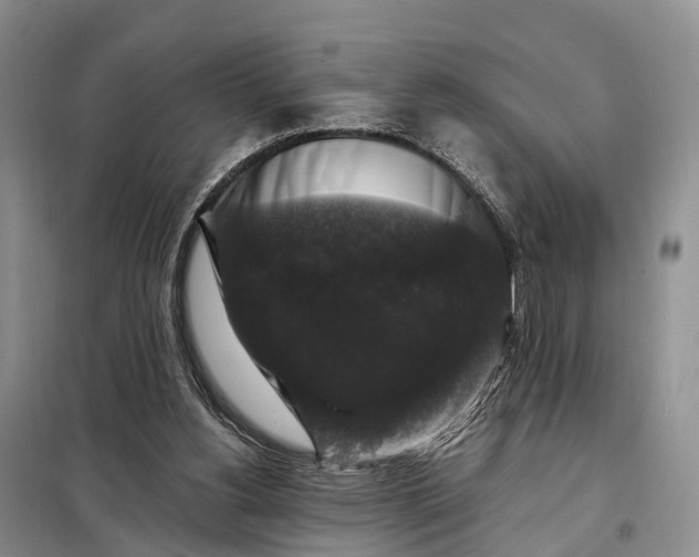 X0000097990156200804071201