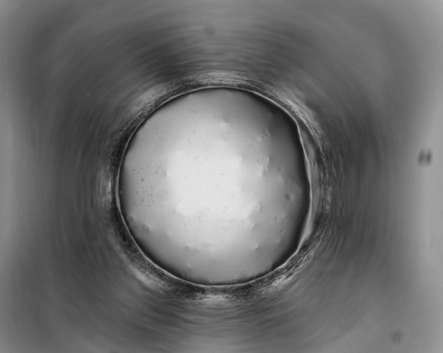 X0000097990157200804071201