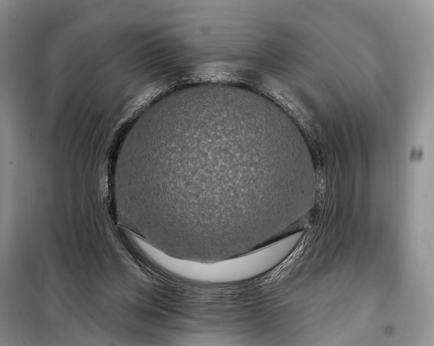 X0000097990158200804071201
