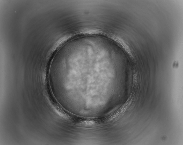 X0000097990159200804071201