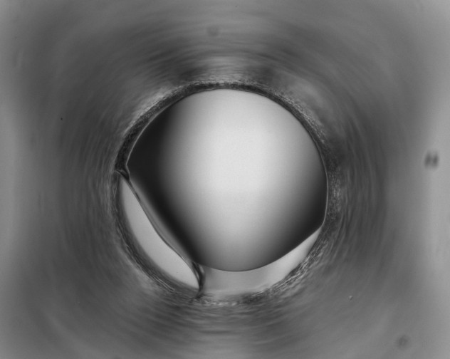 X0000097990160200804071201