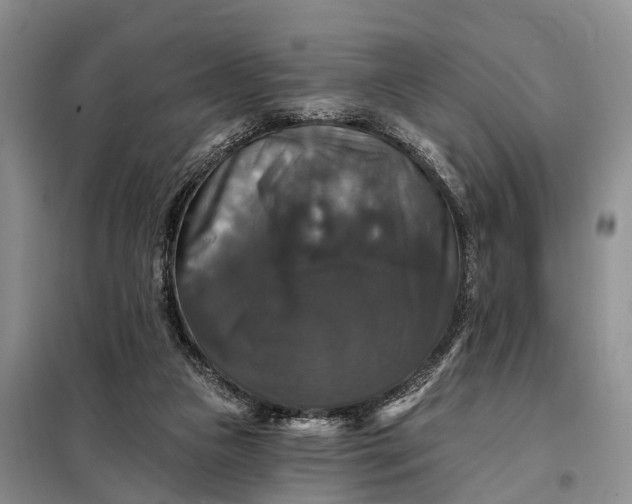 X0000097990161200804071201