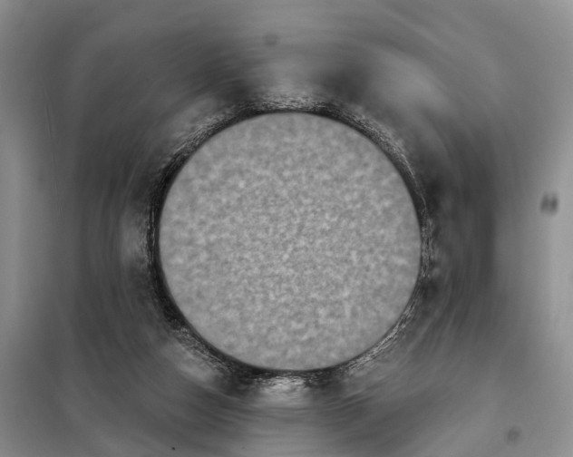 X0000097990162200804071201