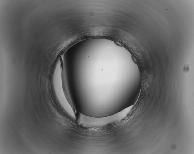 X0000097990164200804071201