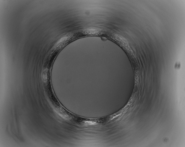 X0000097990167200804071201