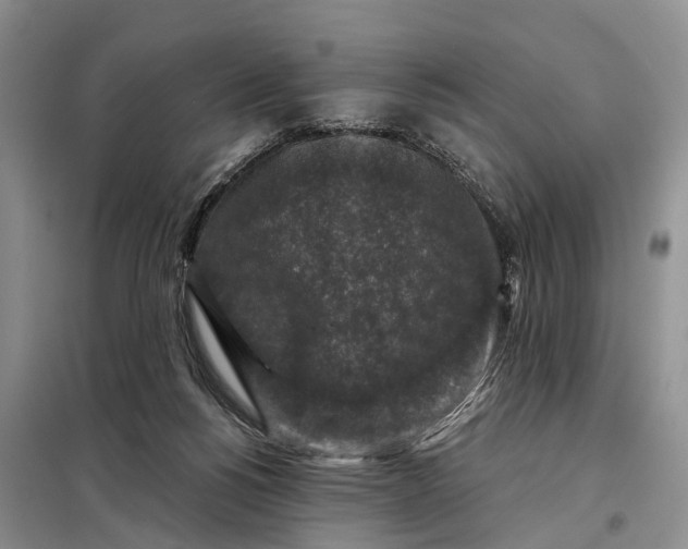 X0000097990168200804071201