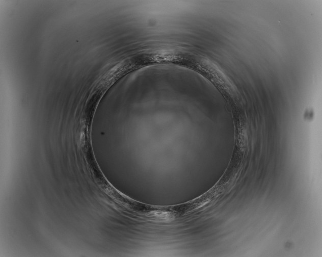 X0000097990169200804071201
