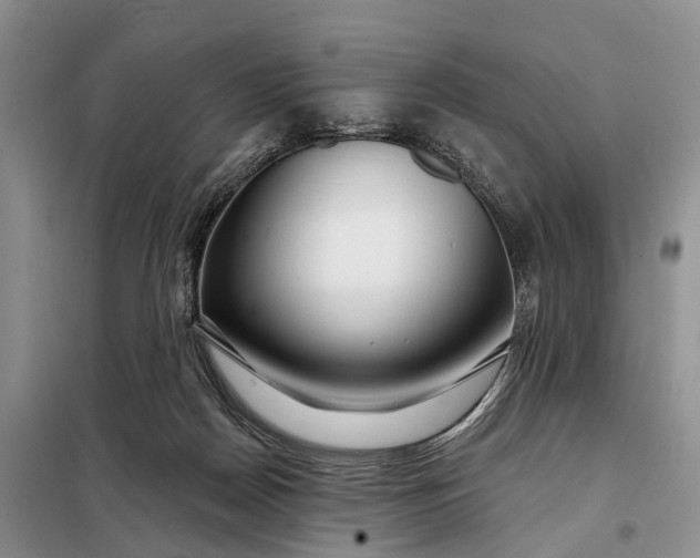 X0000097990170200804071201