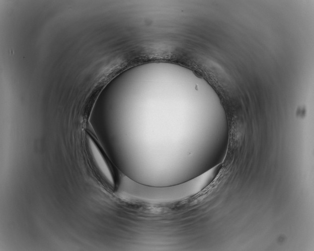 X0000097990172200804071201